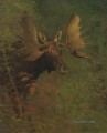 STUDY OF A MOOSE American Albert Bierstadt animal